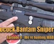 !!! WARNING THIS VIDEO CONTAINS HUNTING FOOTAGE - IF THIS TYPE OF CONTENT OFFENDS YOU, THEN DO NOT WATCH!!!nnFinally we are going to get out and do some HUNTING with the Brocock Bantam Sniper HR in .25 caliber.Our HP model has gone on to another home along with the MTC First Focal Plane scope so I’ve moved back to the MTC Second focal plane.That presents a little bit of a challenge as you need to understand your equipment before you just go out and start hunting. We’ll talk a little bi