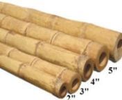 http://bamboocreasian.com -Bamboo Poles-bamboo cane(10&#39;ft x2-1/2in dia up/walled thick pole/direct factory)Natural/sanded color- Los Angeles CA, California.Available Bamboo Pole-bamboo cane 10&#39;ft x 1-1/2 in dia-5 in dia(direct factory)- Los Angeles CA, California. # buy bamboo Pole-bamboo cane (10&#39;ft x2-1/2 in dia up/walled thick/direct factory)Natural/sanded- Los Angeles CA, California.Bamboo Pole-bamboo cane(10&#39;ft x1.1/2.in dia and up 5dia)Natural/sanded color available-Los Angeles CA,Californ