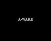 Awake is the continued thematic work of accomplished Director James Gutierrez, previously long listed for a BAFTA in 2011 for Partygirl.nnUsing the neo-noir genre to explore the topic of death and the afterlife.In this piece we juxtapose the belief that all entities are energy and even in the afterlife the living can control the dead. nnThis idea was recorded more than 2000 years ago by greek philospher Cicero in his famous quote &#39;The life of the dead is placed on the memories of the living