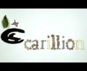 This film is 1 of 8 animations made for Carillion. Shot on a Canon 5D MKII. This animation is made up of 6 different materials. Coins, coal, matchsticks, sunflower seeds, leafs and twigs and fabric. This only took one day to shoot. nAnimated by Ross Mackenzie &amp; Mark KennanSound design by Alex Huddnwww.firebird-films.comnwww.dreambasestudios.com