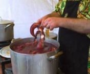 yum! boiled octopus.nnMicro-documentary shot in Baratti, Italy.