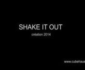Skake it out - CUBe Association - Christian Ubl