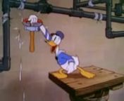 Walt Disney Classic Mickey Mouse Cartoon - Donald And Pluto from pluto cartoon
