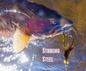 Striking Steel is a new production by Erik Rambo of Snap T productionsfeaturing Kevin Feenstra and some of his friends. This video is designed to help you catch steelhead with flies during the best and worst conditions.Bait fish patterns, reading water, and understanding fish holding structure, as well as other essentials to catching these magnificent fish are covered in this film. nnThis DVD is available now, purchase at http://www.swingabigfly.com/striking-steel/. nnThanks for watc