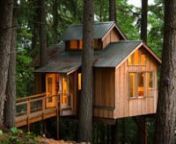 Would you live in a treehouse? The appeal is obvious to any kid, but it can seem like a daunting idea for adults. Nevertheless, cultural interest has erupted in recent years. You can vacation at a