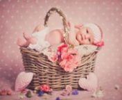 Newborn photography of Janina 11 days old, by Proud Bird Studios.