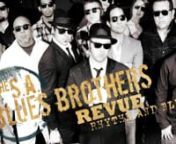 The SA Blues Brothers are what can only be described as a musical, comedic, and epic rhythm and blues and soul revue show. Back from the European tour they are READY to bring the music back home.nnBryan Ortiz as Elwood Jr. BluesnBen Scharff as J