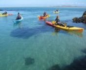 For the adventurous sea kayaker visiting Jersey Les Minquiers is a superb destination. Look out for Dolphin and Seals.nnIf you do not fancy sea kayaking across 12 miles of ocean Jersey Kayak Adventures offer charter boat sea kayaking trips to Les Minquiers. http://www.jerseykayakadventures.co.uk/and visit the Tours pages. nnLook out for the Dolphins in Jersey section of the video. They were spotted off the east coast of Jersey.nnLes Minquiers reef is the most southerly part of the British isle