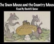 The Town Mouse and the Country Mouse from town mouse and country mouse