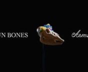 Sun Bones - Arms from video bones com