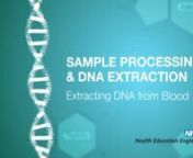 This video forms part of the online course Sample Processing and DNA Extraction, available on e-Learning for Healthcare: https://portal.e-lfh.org.uk/Component/Details/462384nn*Please note* this video and the course it is part of were developed in 2016, in line with 100,000 Genomes Project specifications. Please always check your up-to-date local arrangements.nnFor more courses and resources on genomics in healthcare, visit www.genomicseducation.hee.nhs.uknn© Health Education England