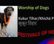Nepali festival to worship dog is today, October 29th. How will you celebrate it with your dog this year?nnThe second day of Yama Panchak (5-day festival) falls in Kartik Krishna Chaturthi (end of Oct) is celebrated as Worship of Dogs/Kukur Tihar