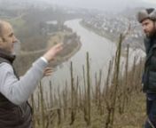 This video is about Weingut Lauer in Ayl, Duitsland.