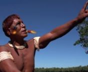 O clima está mudando, o calor aumentando. Os índios do Xingu observam os sinais que estão por toda parte. Árvores não florescem mais, o fogo se alastra queimando a floresta, cigarras não cantam mais anunciando a chuva porque o calor cozinhou seus ovos. Os frutos da roça estão se estragando antes de crescer. Ao olhar os efeitos devastadores dessas mudanças, eles se perguntam como será o futuro de seus netos.nnPrêmio de Melhor Curta Metragem no Festival Ambiental das Ilhas Canárias, 20