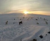 Filmed with a GoPro head camera, this is a little video from when I went dog sledding in Iceland.
