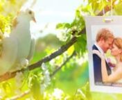 Download Link: http://videohive.net/item/wedding-photo-gallery-doves-slideshow/8012602?ref=HK_graphicnA beautiful display of your images and videos in the Love Birds Doves On Beautiful Flowering Tree.There are 23 sections and they can be stretched up to 6 sec.nAdobe After Effects CS6, CS5.5n1080p.nUp to 23 image/video placeholdersnText placeholders for each imagenNo plugins required.Lens effects and particles prerendered. But main project without prerender also includednIncludes video tutorialn