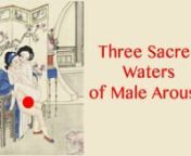 You may have heard of the Three Sacred Waters of female sexual arousal. Men also have three different fluids that flow through their arousal anatomy, and these can be focused on separately with great benefit. Somatic Sex Educator Caffyn Jesse explains the anatomy of pleasure with a focus on pre-cum, milking the prostate, and ejaculation.