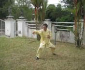 This was a secretive kungfu set practiced at the southern Shaolin Temple in Quanzhou, Fujian Province of South China in the past.It was passed down by the Venerable Jiang Nan, when the Shaolin Temple was burnt by the Qing Army.Grandmaster Wong learned this set from Grandmaster Ho Fatt Nam in the 1970s.nhttp://www.shaolin.org/video-clips-4/four-gates/four-gates-01/overview.html