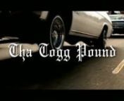 Tha Togg Pound 2015 featuring:nConnor Harris, Matt Beach, Alex Mollica, Max Schaffner, nJoe Morgan, Charlie Richter, Eli Brunet, and Ben