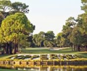 Innisbrook Resort&#39;s Copperhead Course annually hosts the Valspar Championship, plus three other courses provide plenty of golfing fun for Golfaholics