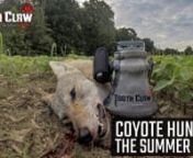 The summer months can be a great time to call coyotes. Join Jon and Phil on a Central Kentucky coyote stand. nnEquipment Used On Stand:nFoxPro CS24C - https://www.gofoxpro.com/nSwagger Bipods Hunter 42 - https://swaggerbipods.comnRealtree Edge Camo - https://www.realtree.comnXGO Phase 1 Base Layers - https://www.proxgo.comnScentLok Savanna Pants - https://www.scentlok.comnHager Custom Rifle chambered in .22-250 nnFollow Jon On Instagram - https://www.instagram.com/jon_collins3/