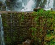 Get 100&#39;s of FREE Video Templates, Music, Footage and More at Motion Array: https://www.bit.ly/2UymF81nGet this here: https://motionarray.com/stock-video/multi-tier-waterfall-93229nnThis stock video shows a beautiful shot of a waterfall in the Parque Natural Ribeira dos Caldeirões in São Miguel, The Azores, Portugal. The archipelago of the Azores is one of the hidden gem nature destinations in Europe. Water flows three levels down of rocky tiers, until it reaches the ground. This clip can be a