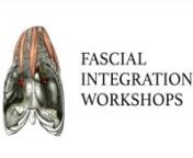 Bruce Schonfeld invites Japanese Occupational/Physical/Sports/Manual Therapists to his Fascial Integration Workshops in Japan. With help from an interpreter, Bruce demonstrates a little (Structural-Visceral) mobility testing and assessment of the thorax and its interrelationship with the underlying parietal pleura. Filmed in Nagoya in 2017 by Masa Miyao, who coordinates Bruce&#39;s classes in Japan, at rolfing380.jp