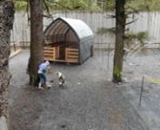 IdidaRide Dog Sled Tours has made their Seward Alaska dog kennel completely tether free.