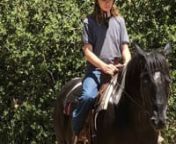 13yr 14.2 hh Reg. APHA Gelding. Great Family Horse , does a little bit of it all. Trails, sorting, arena, has had kids on him. Clips , ties , trailers , no vices . Asking &#36;6500 Located in Ramona CA 92065 Please Call Yannay 951-816-8330.video available