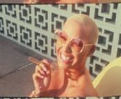 Amber Rose - \ from rose