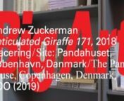 Den danske arkitekt Bjarke Ingels fortæller i denne video om samarbejdet mellem Bjarke Ingels Group og Andrew Zuckerman, hvis værk &#39;Reticulated Giraffe 171&#39; (2018) kan opleves på &#39;Big Art&#39;. Udstillingen vises på Kunsthal Charlottenborg fra 21. september 2018 - 13. januar 2019. Læs mere her: kunsthalcharlottenborg.dk/da/udstillinger/big-art/n-----------------------------------------------------------nIn this video Danish architect Bajrke Ingels talks about the collaboration between Bjarke In