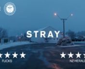 STRAY directed by Dustin Feneley - Theatrical Trailer - Feature Film - New Zealand - 2018nnwww.strayfilm.comnnIn a cold and remote landscape, two strangers struggle to repair their broken pasts.nnA young man is on parole after serving time for attempting to murder the man who killed his girlfriend in a hit and run. A woman is released from a psychiatric facility far from her homeland. These two damaged strangers cross paths in the mountains in winter and fall into a complex intimate relationship