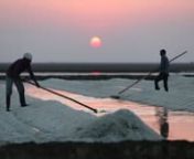 A glimpse into the tedious and fascinating process of salt-making, through the stories of its makers – the Agariyas of Kutch. Screened at Los Angeles, Mumbai, Moscow and Seoul.n nDirected by Dinesh Lakhanpal &#124; 2019nProducer and Commissioning Editor: Rajiv Mehrotra nnDinesh Lakhanpal is a creative writer-turned-journalist-turned filmmaker, who has to his credit more than seventy documentaries and short films and several feature films. He has won four international and two national awards. As a