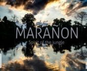 Marañón - Spirit Of The Jungle 4K - Zenith Films Studio & WWF from kijal