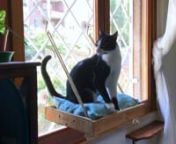 How to make a DIY Cat Window Perch