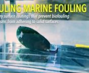 Marine fouling occurs when organisms attach themselves to underwater objects like boats, rope, pipes and building structures. Mussels are one of the biggest culprits. Once attached, they are difficult to remove, leading to operational downtime, increased energy use and damage. Paints and coatings are currently used to prevent marine fouling, but are frequently toxin-based and not very effective, with adverse environmental and economic impact. nnResearchers are Harvard&#39;s Wyss Institute and Harvar
