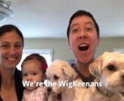 It&#39;s the 2017 WigKeenan Annual Video!n#BookOfWigKeenannOriginal lyrics; music from Book of Mormon&#39;s