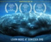 Sonic Sea is an Emmy-winning documentary about the impact of industrial and military ocean noise on whales and other marine life. It tells the story of a former U.S. Navy officer who solved a tragic mystery and changed the way we understand our impact on the ocean. The film is narrated by Rachel McAdams and features Sting, in addition to the renowned ocean experts Dr. Sylvia Earle, Dr. Paul Spong, Dr. Christopher Clark, and Jean-Michel Cousteau. Sonic Sea was produced by Natural Resources Defens