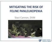 Mitigating the Risk of Feline Panleukopenia from feline panleukopenia