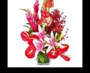 Celebrate big 2017 CNY. Florist Singapore Offers wides variety our flowers and gifts to bring happiness for your love ones. With same day Flower Delivery Singapore, you never be late for your gifting.nnSee you at our web store today.nnhttp://www.littleflowerhut.com.sg/