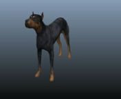 A brief exercise in animating expression and running of quadruped animal. Animated in Autodesk MayannRig generously provided free online by Ram Krish:nhttps://www.highend3d.com/maya/downloads/character-rigs/c/dog-for-maya