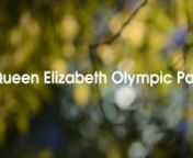 Queen Elizabeth Olympic Park Lighting