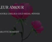 Promotional film of Charlotte Murrant from Fleur Amour wedding Floristry. A double RHS Chelsea Gold Medal Winner and best in show 2015. A real rising rock star in the wedding floral world.