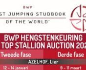 BWP Stallion Approval - 2nd phase - day 2 from bwp