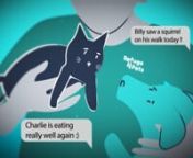 Animation Explainer Video Company &#124; Refuge4Pets &#124; Pushed Ltd nnRefuge4Pets offers specialist animal fostering services across Devon and Cornwall to survivors of domestic abuse so they can be assured that their much-loved animals are being looked after as they rebuild their lives following an escape from a domestic abuse situation. Most temporary accommodations for these individuals and families do not allow pets, which often puts survivors in the incredibly heart-breaking situation of having to