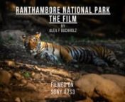 End of 2020 we spend some time in Ranthambore National Park to capture its incredible wildlife.nn Filmed on the Sony A7s3 nnMy special thanks to the team on the ground that made this film possible.nnTo Angela for being there and being very patient with me. nTo Hemraj Meena our guide, who helped us to spot all the animals.nTo Ranthomber Hemraj, our driver, who managed to get me always into the best position to film the action. nAnd of course to Ravindra Jain and his entire team of Sawai Vilas for