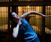 Asian Improv aRts, API Cultural Center and Lenora Lee Dance present nnthe World Premiere of In the Movementnby the award-winning company, Lenora Lee Dancennat ODC TheaternThursdays - Saturdays, 9/1, 9/2, 9/3, 9/8, 9/9, 9/10 at 8pm, and Sundays, 9/4, 9/11 at 2pmnn“In the Movement” is a heartfelt and explosive dance piece focusing on separation of families and mass detention of immigrants as forms of incarceration. It serves as a meditation on reconciliation and restorative justice, speaking t
