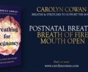 Please note: Videos 42-45 must not be practiced during pregnancy. nnBreath of Fire is not suitable for pregnancy. And the videos named above are strictly for the postnatal period and beyond. nnLearn more about the breaths in my book: nnhttps://amzn.eu/d/9fPpfw1 nnPlease note that by taking part in this series, you agree to my terms and conditions and have noted the medical disclaimer, which is copied below.nnI very much hope that you find the book, and these videos, a source of comfort and sup