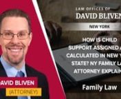 blivenlaw.net/nnLaw Offices of David Blivennn19 Court St., Suite 206,nWhite Plains, NY 10601nUnited Statesn(914) 468-0968nnNew York&#39;s child support system is based on the Child Support Standards Act. This act provides a guideline for how much child support should be paid based on the income of the non-custodial parent. The amount of child support can be modified if there are exceptional circumstances, such as high medical costs or a significant change in income.nnIn New York, the amount of child