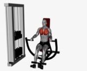 machine-chest-press-decline-fitness-exercise-worko-2023-02-26-11-57-42-utc from worko